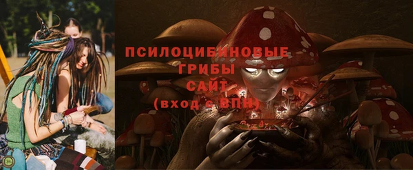 ГАЛЛЮЦИНОГЕННЫЕ ГРИБЫ Волоколамск