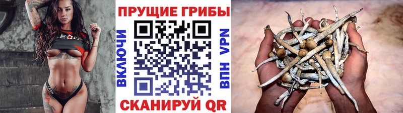 Купить  Лысьва  Псилоцибиновые грибы мухоморы 